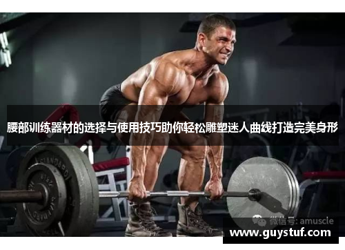 腰部训练器材的选择与使用技巧助你轻松雕塑迷人曲线打造完美身形