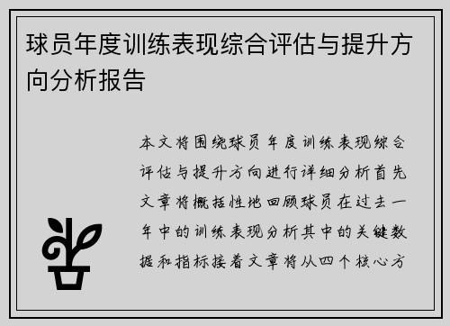 球员年度训练表现综合评估与提升方向分析报告
