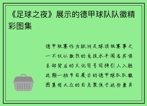 《足球之夜》展示的德甲球队队徽精彩图集